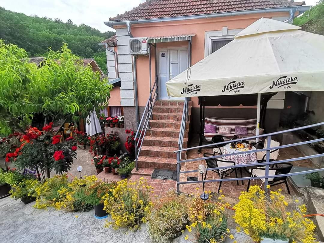 "Pivnica I Smestaj Jovanovic"- Rogljevacke Pivnice Rogljevo المظهر الخارجي الصورة