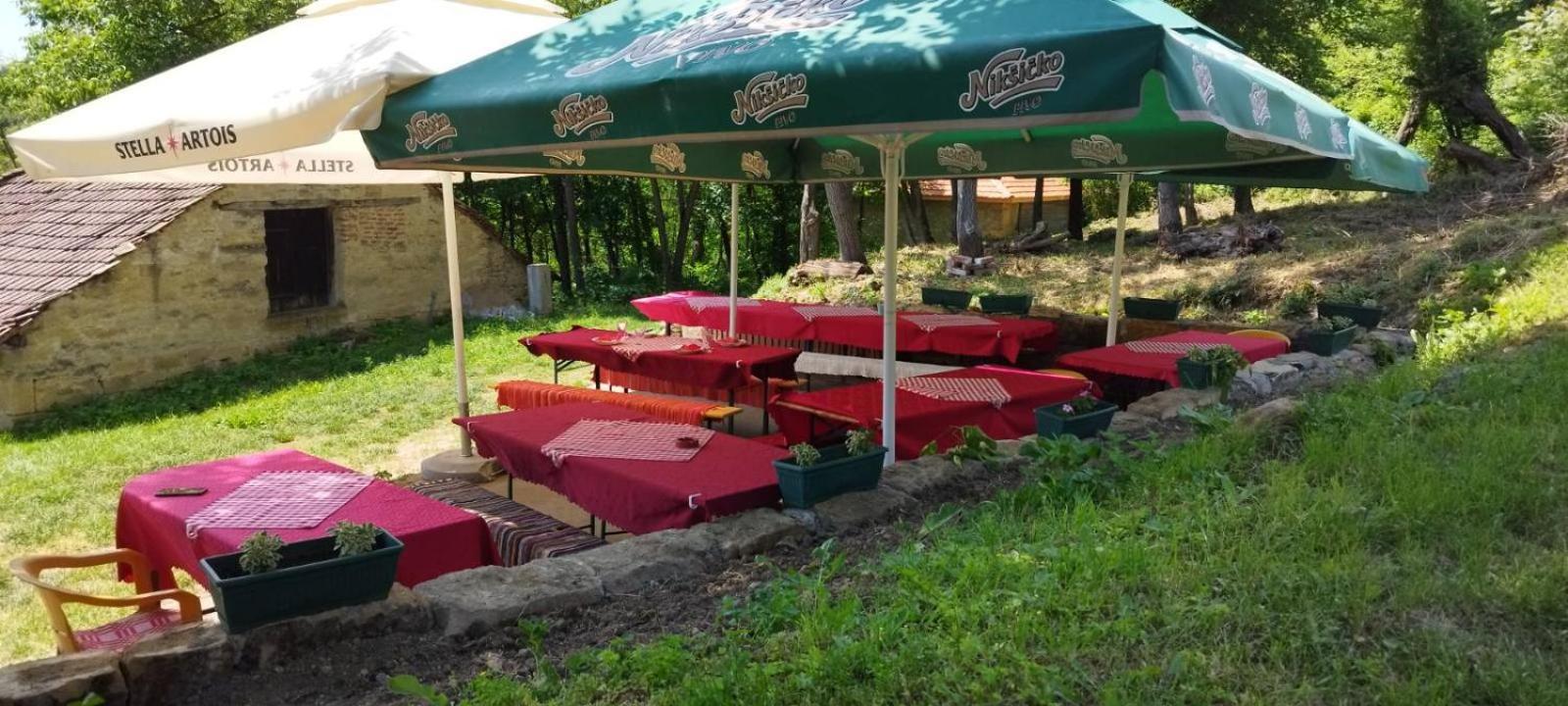 "Pivnica I Smestaj Jovanovic"- Rogljevacke Pivnice Rogljevo المظهر الخارجي الصورة